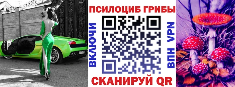 Псилоцибиновые грибы Psilocybe  Семёнов 
